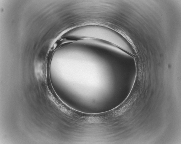 X0000086960984200704231446