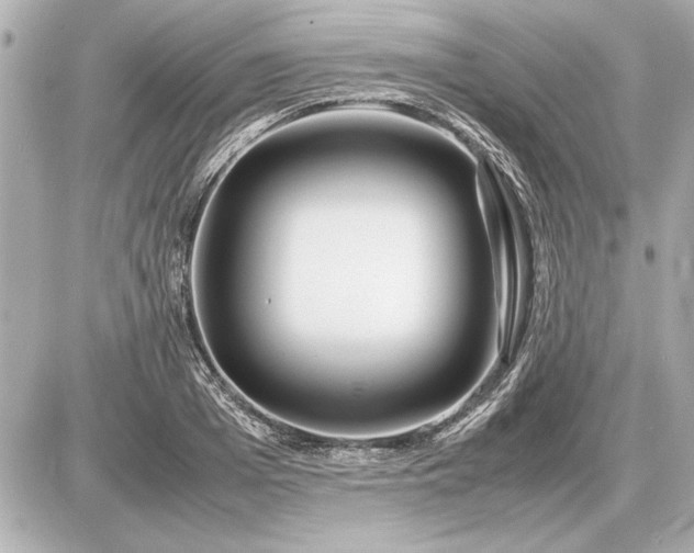 X0000086960985200704231446