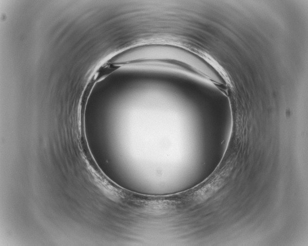 X0000086960988200704231446