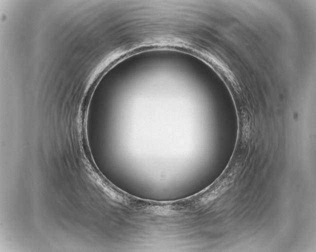 X0000086960990200704231446