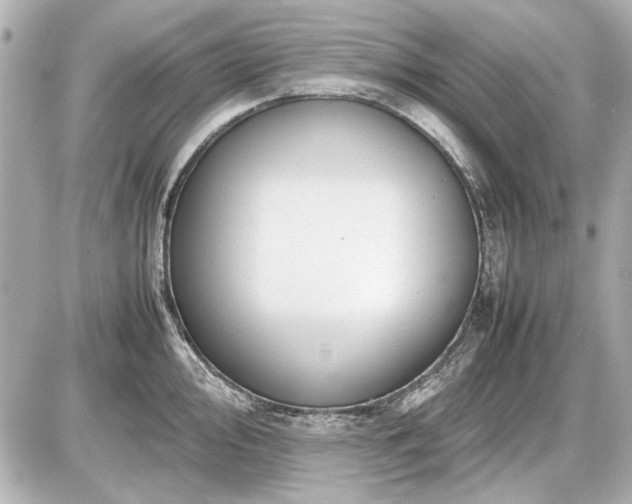 X0000086961000200704231446