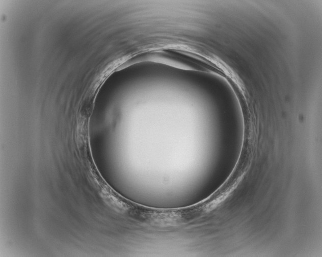 X0000086961001200704231446