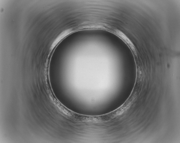 X0000086961002200704231446