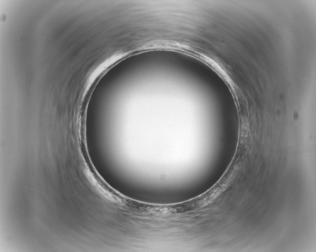 X0000086961003200704231446