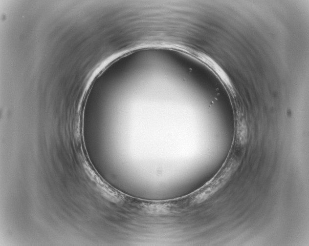 X0000086961004200704231446
