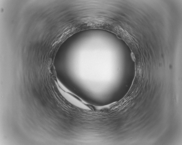 X0000086961012200704231445
