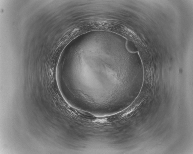 X0000086961013200704231445