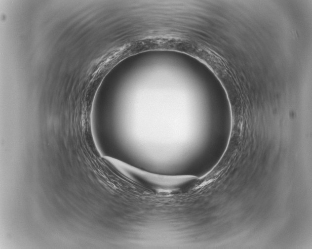 X0000086961014200704231445