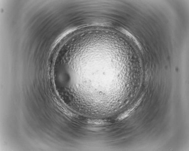 X0000086961019200704231445