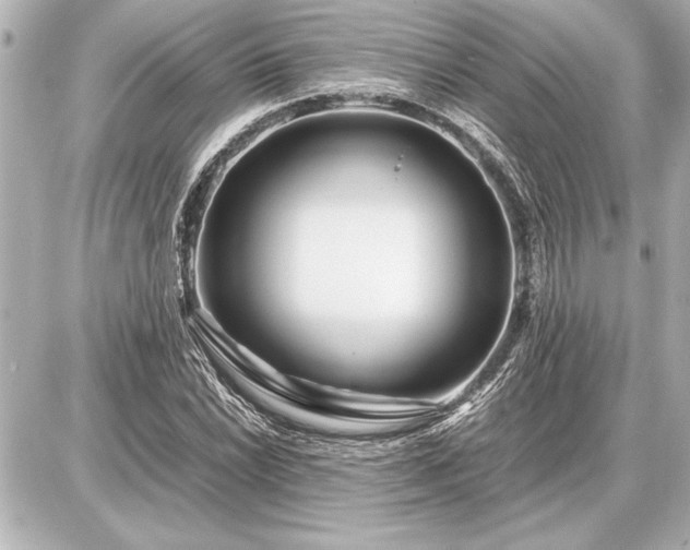 X0000086961022200704231445