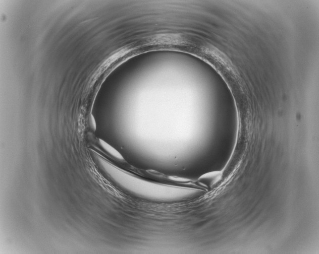 X0000086961025200704231445