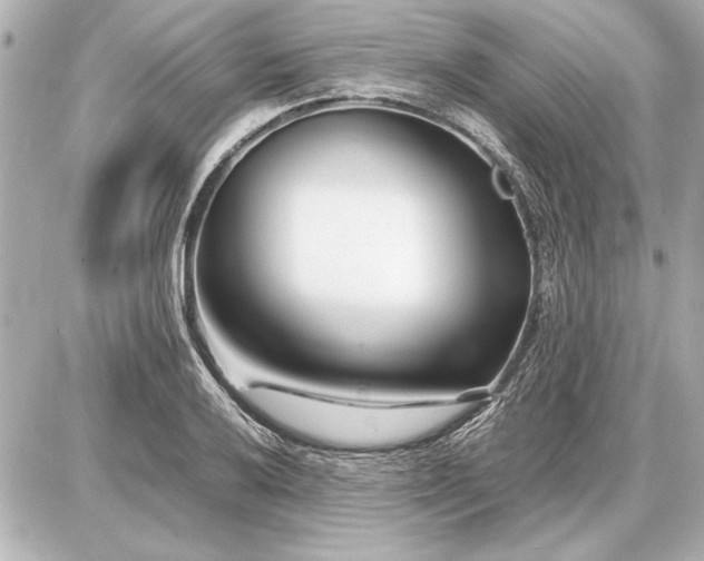 X0000086961032200704231445