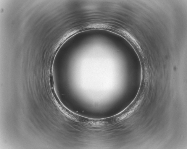 X0000086961041200704231445