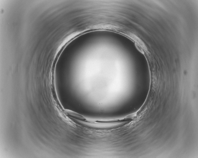 X0000086961044200704231445