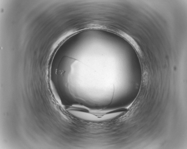 X0000086961051200704231446