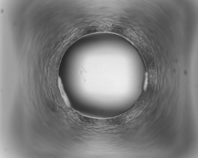X0000086961057200704231445