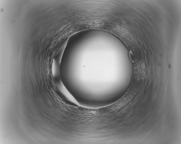 X0000086961058200704231445