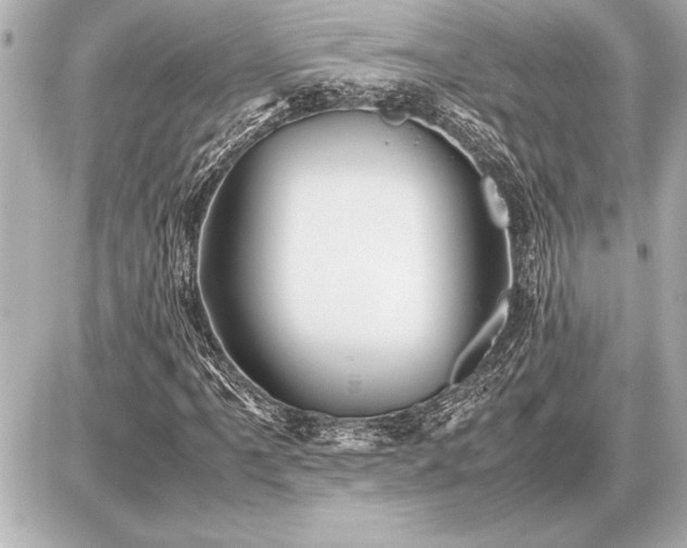 X0000086961061200704231445