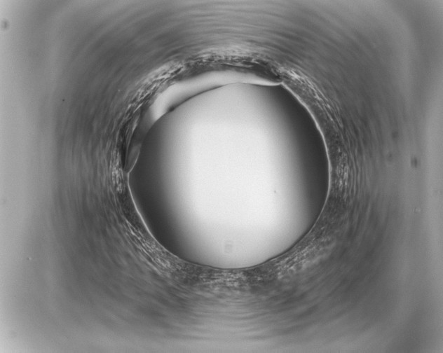 X0000086961062200704231445
