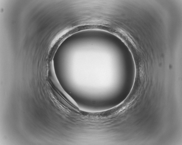 X0000086961069200704231445