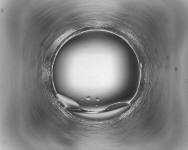 X0000086961073200704231445