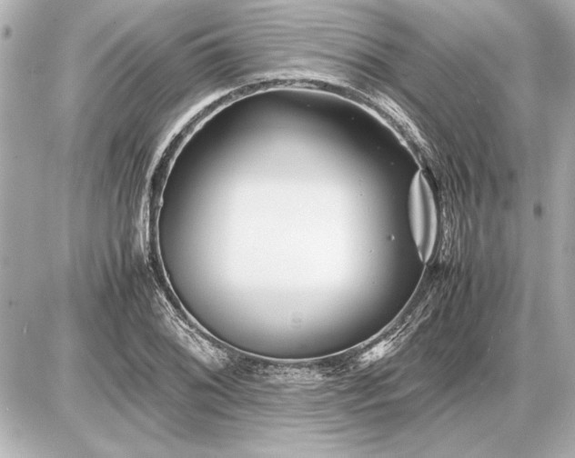 X0000086961076200704231445
