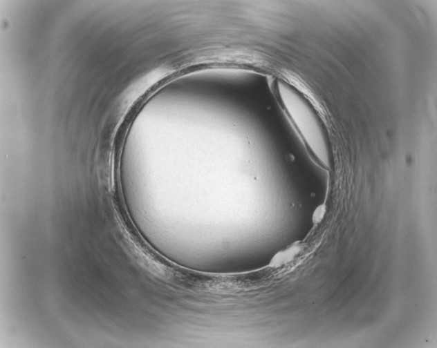 X0000086961079200704231444