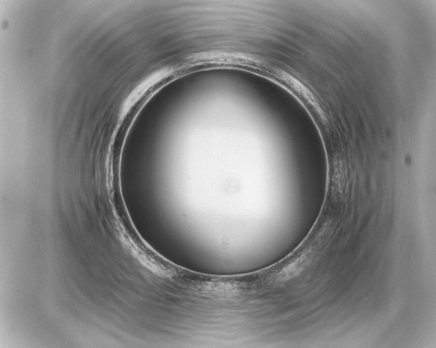 X0000086961082200704231444