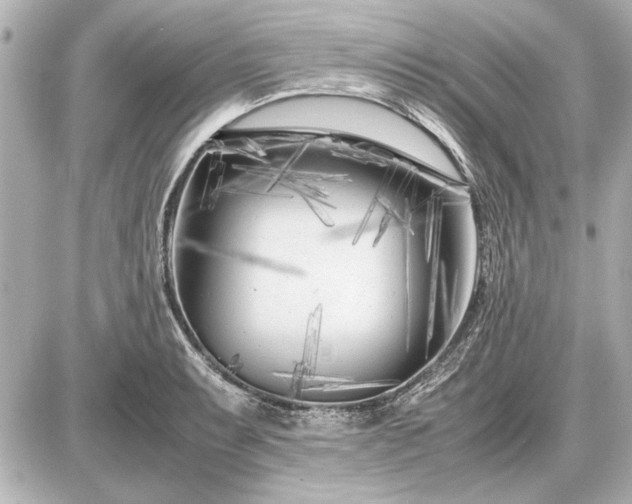 X0000086961087200704231444