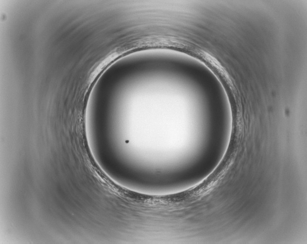 X0000086961089200704231444
