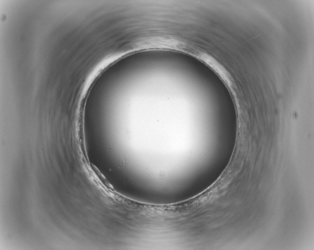 X0000086961104200704231444