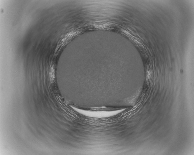 X0000086961106200704231443