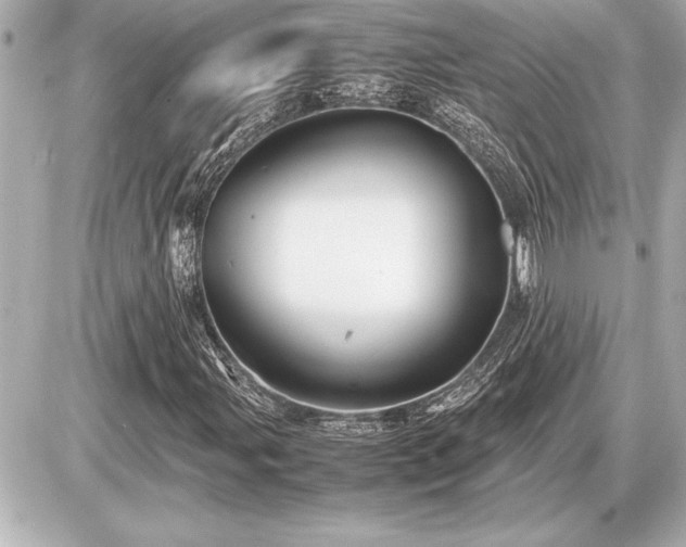 X0000086961107200704231443