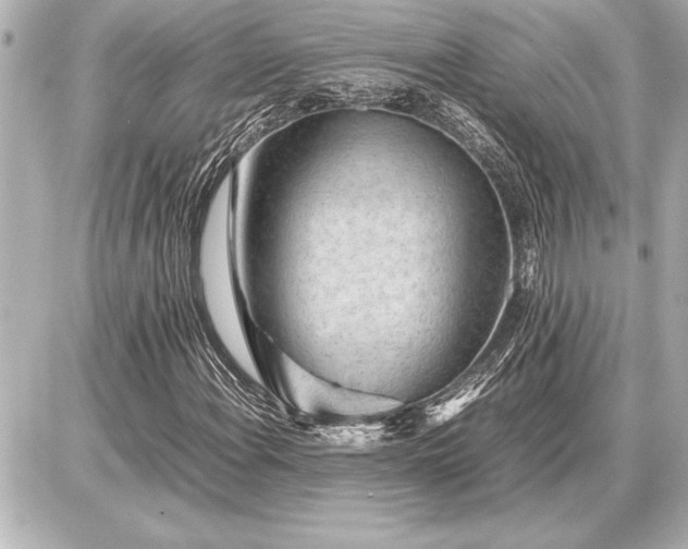 X0000086961108200704231443