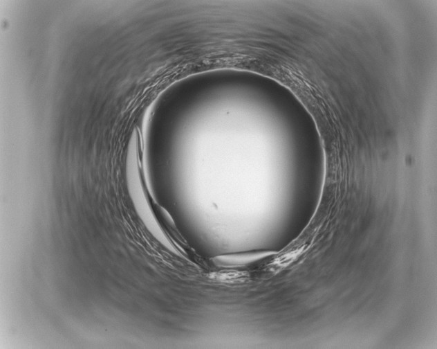 X0000086961109200704231443