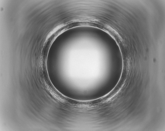 X0000086961114200704231443