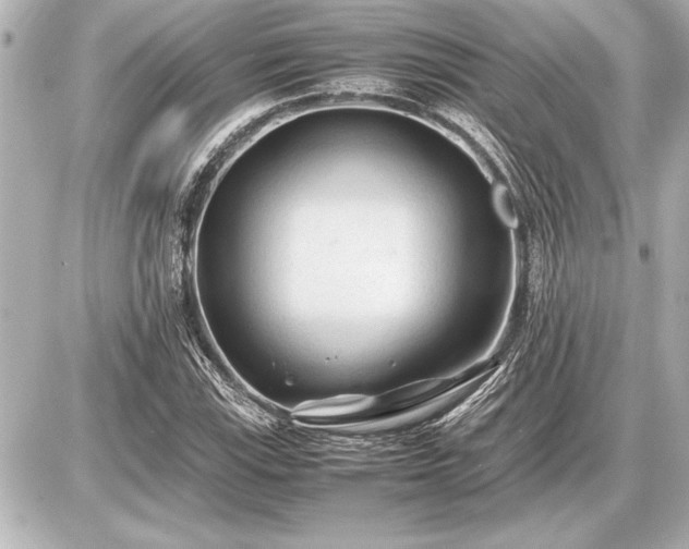 X0000086961115200704231443