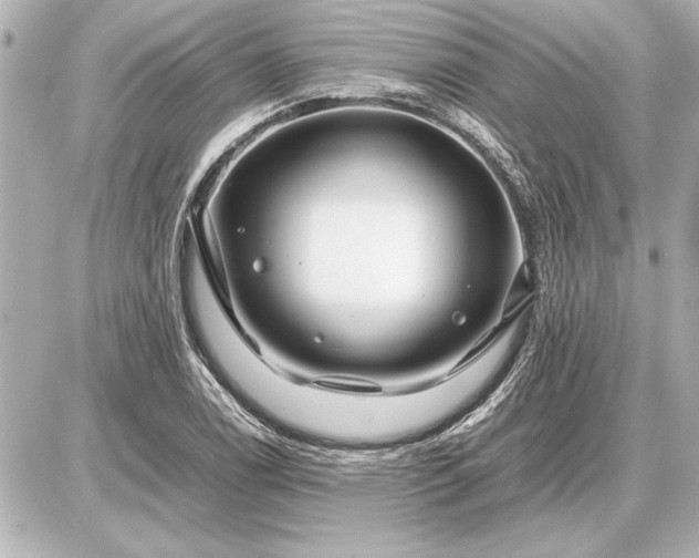 X0000086961122200704231444