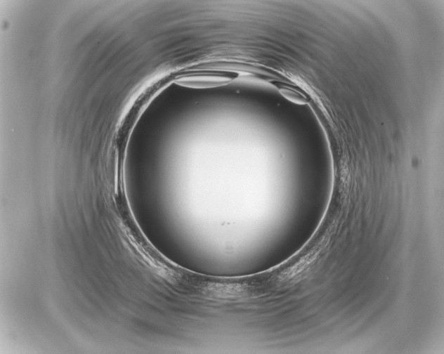 X0000086961123200704231444