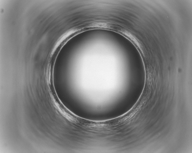X0000086961131200704231444