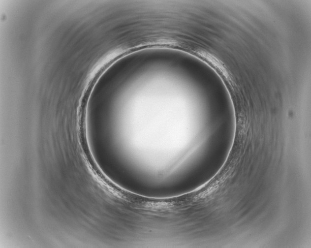 X0000086961135200704231444