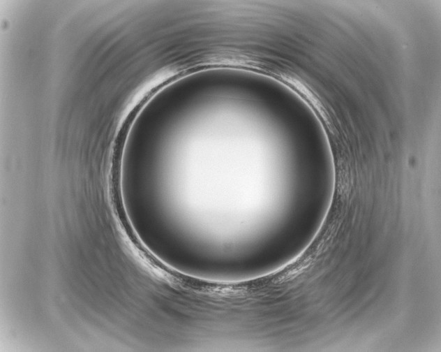 X0000086961139200704231444