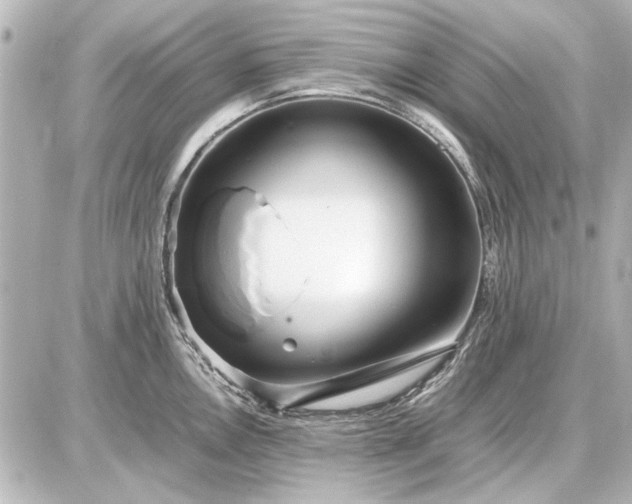X0000086961146200704231444