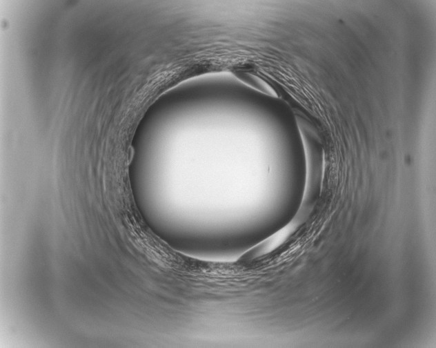 X0000086961153200704231443