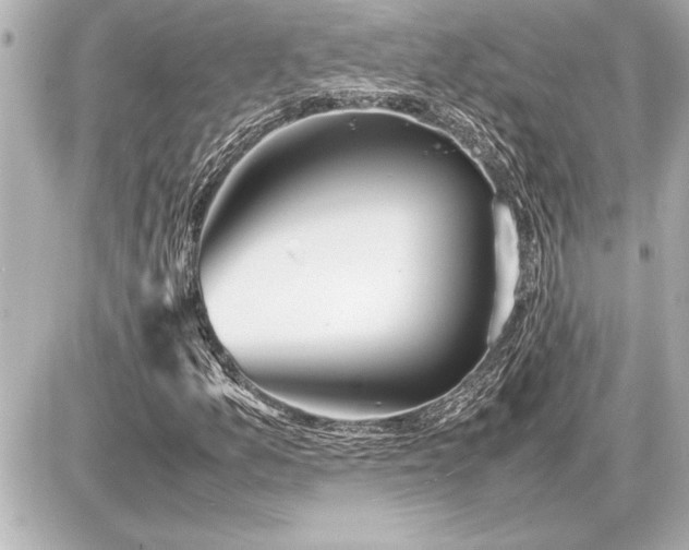 X0000086961157200704231443