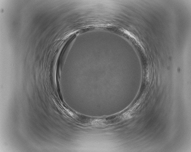 X0000086961161200704231443