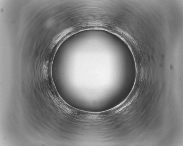 X0000086961162200704231443