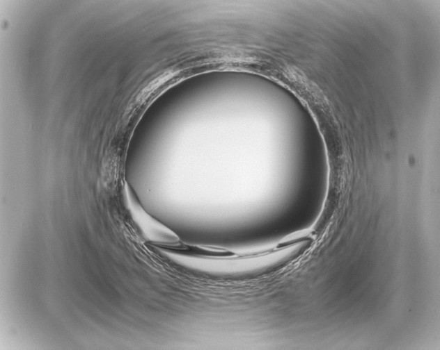 X0000086961169200704231443