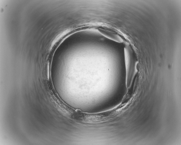 X0000086961171200704231443