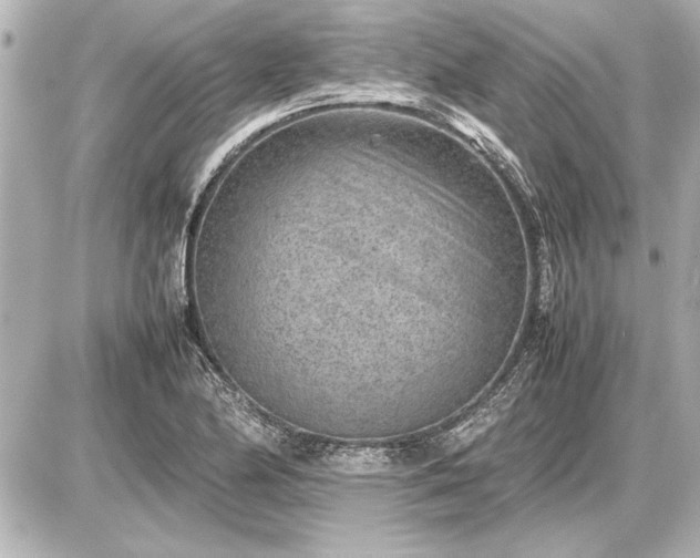 X0000086961174200704231443
